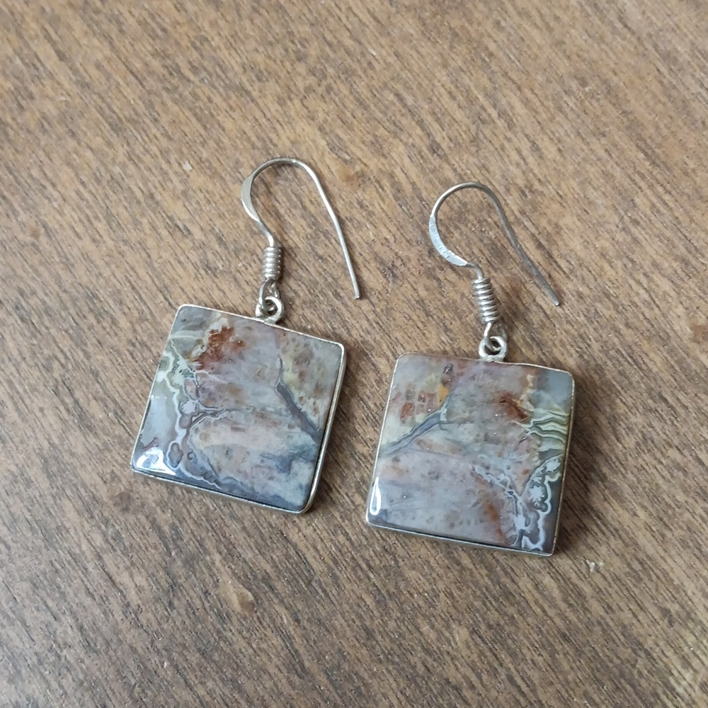 Elegant Silver and Brown Square Earrings